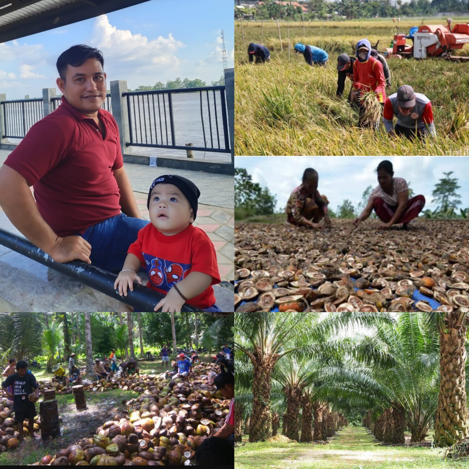 Sultan Daeng (AWNI JAMBI) Wujudkan Kemakmuran Masyarakat Pedesaan Melalui Program Pertanian