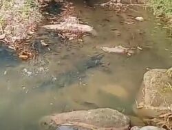 Ormas Badak Banten Jona Enam Siap Sikapi Adanya Dugaan Cemari Sungai, Warga Desa Cileles Keluhkan Limbah B3 Dari PT.Tiger Chamois Indonesia