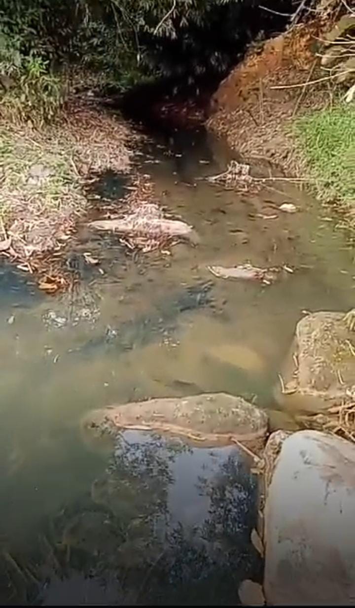 Ormas Badak Banten Jona Enam Siap Sikapi Adanya Dugaan Cemari Sungai, Warga Desa Cileles Keluhkan Limbah B3 Dari PT.Tiger Chamois Indonesia