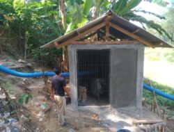 Diduga Upah Pekerja Proyek Irigasi Perpompaan Belum Dibayar