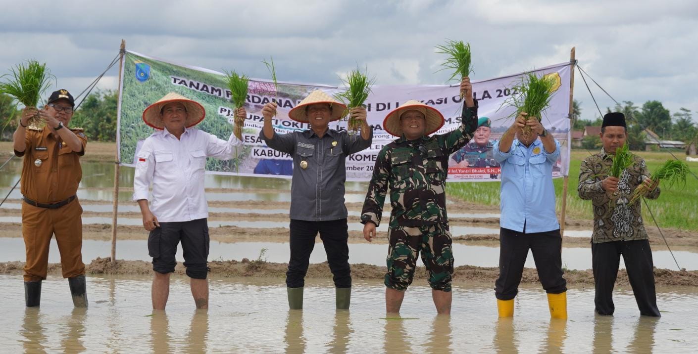 kebut Optimasi Lahan, petani OKI Tanam Padi IP 300