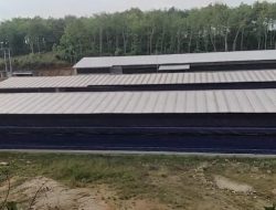 Warga Keluhkan Bau Menyengat Di Duga Dampak Dari Perusahaan Ternak Ayam Dekat Permukiman Warga
