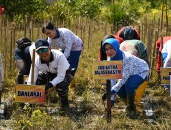 Sambut Hari Armada RI Tahun 2024, Lanal Banjarmasin Gelar Bersih-Bersih Pantai, Penanaman Pohon Mangrove, dan Bakti Kesehatan
