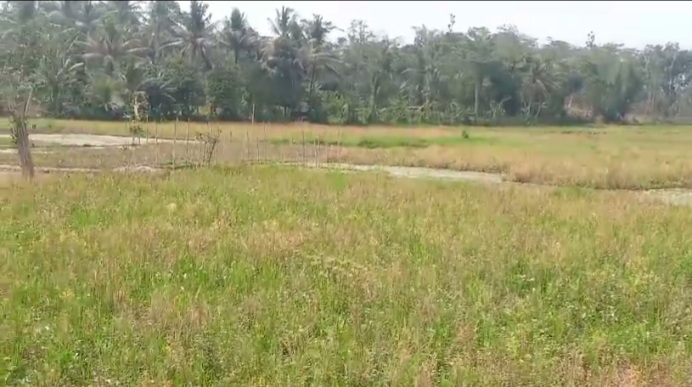 Sidak Lokasi Rencana Pembangunan PT Indo Global, Forwatu Banten: Tolak Jika Gunakan Lahan Sawah Dilindungi (LSD) dan Lahan Pertanian Pangan Berkelanjutan (LP2B)