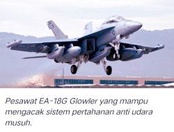 Sangat Mustahil Bila Korps Marinir Memiliki Pesawat Temput F-18.