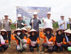 Lahan PSR di OKI Ditanami Padi Gogo, Dukung Swasembada Pangan Prabowo