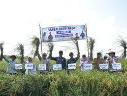OKI Surplus Beras 238 Ribu Ton, Target Produksi Meningkat