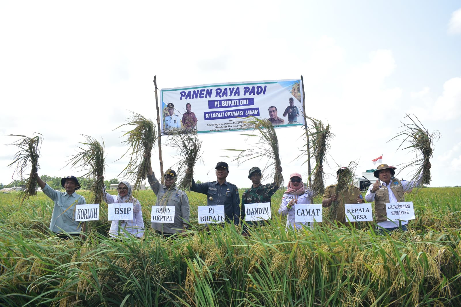 OKI Surplus Beras 238 Ribu Ton, Target Produksi Meningkat