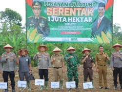 Dukung Ketahanan Pangan Nasional, Polres Tanggamus dan Pemkab Tanam Jagung Serentak di Talang Padang