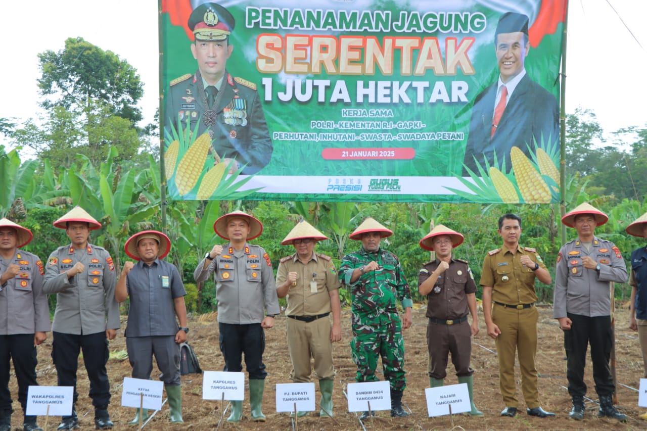 Dukung Ketahanan Pangan Nasional, Polres Tanggamus dan Pemkab Tanam Jagung Serentak di Talang Padang
