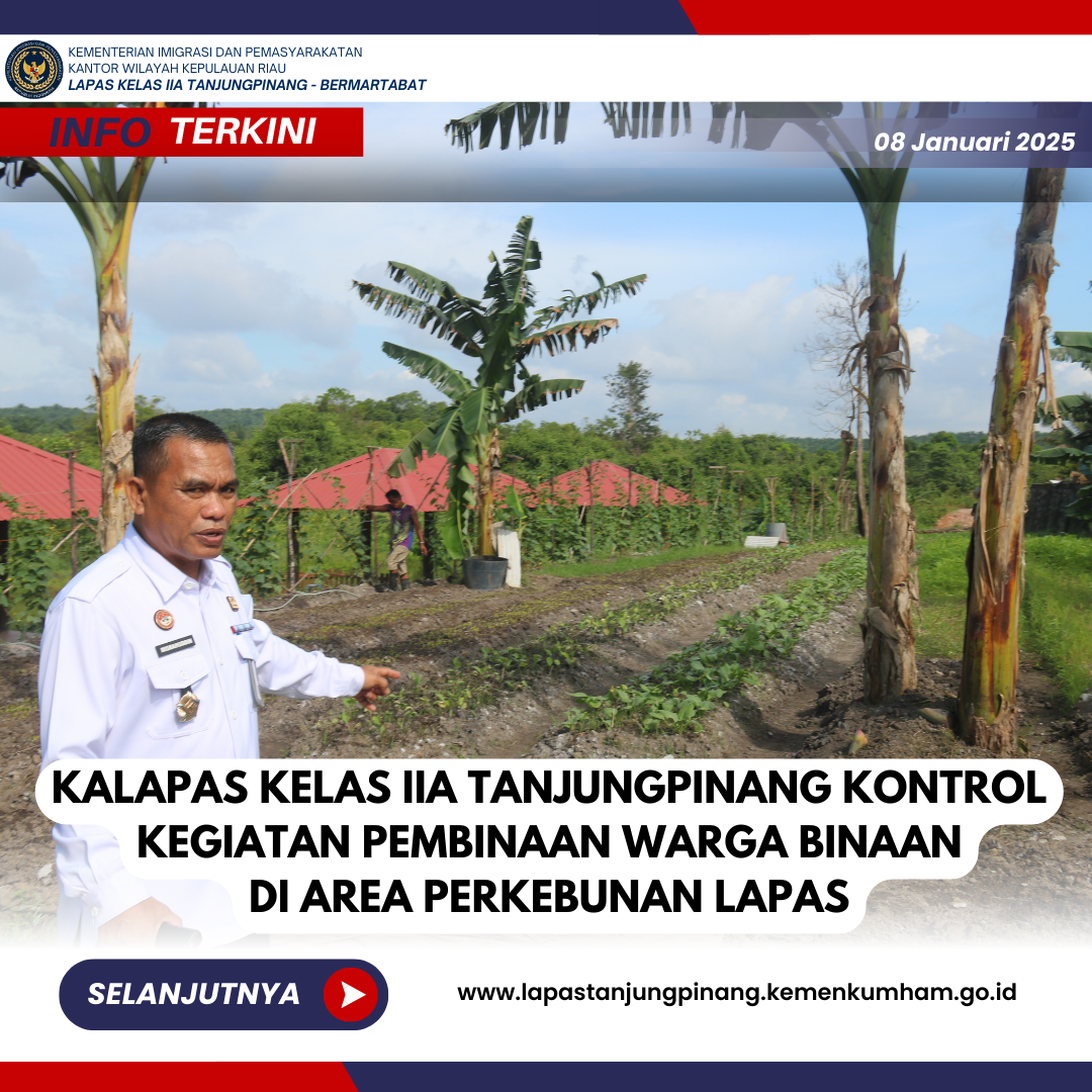 KALAPAS KELAS IIA TANJUNGPINANG KONTROL KEGIATAN PEMBINAAN WARGA BINAAN DI AREA PERKEBUNAN LAPAS