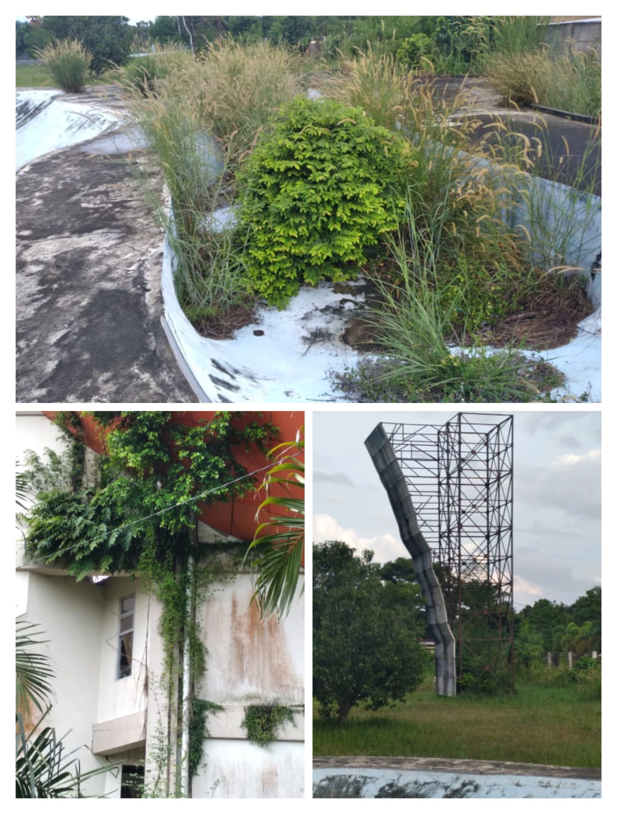 Tak Terawat, Gor Perahu Kajang dan  Tempat Bermain Skateboard, Kab OKI Bagaikan Sarang Hantu