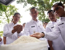Sidak Pasar, Bupati OKI Pastikan Harga Bapok Masih Wajar