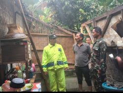 Tajul Arifin Kades Banjarsari Gerak Cepat Meninjau Rumah Warga Yang Tertimpah Pohon Kelapa