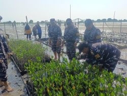 Lanal Bintan Bersama Yayasan Ecology Kepulauan Riau Lakukan Penanaman 50.000 Pohon Mangrove di Berakit