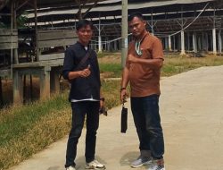 Usaha Ternak Ayam Menimbulkan Aroma Tak Sedap Membuat Warga Resah dan Tidak Nyaman