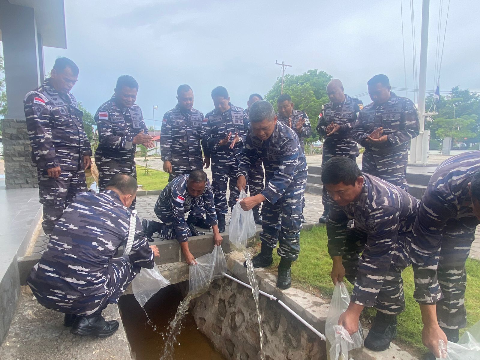 Danlanal Bintan Tabur Bibit Ikan Nila Untuk Mengurangi Pertumbuhan Jentik Nyamuk di Lingkungan Sekitar
