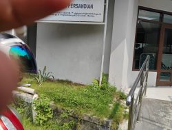 Viral Dinas Diskominfo Jadi Sorotan Publik:  Soal Kondisi Fisiknya