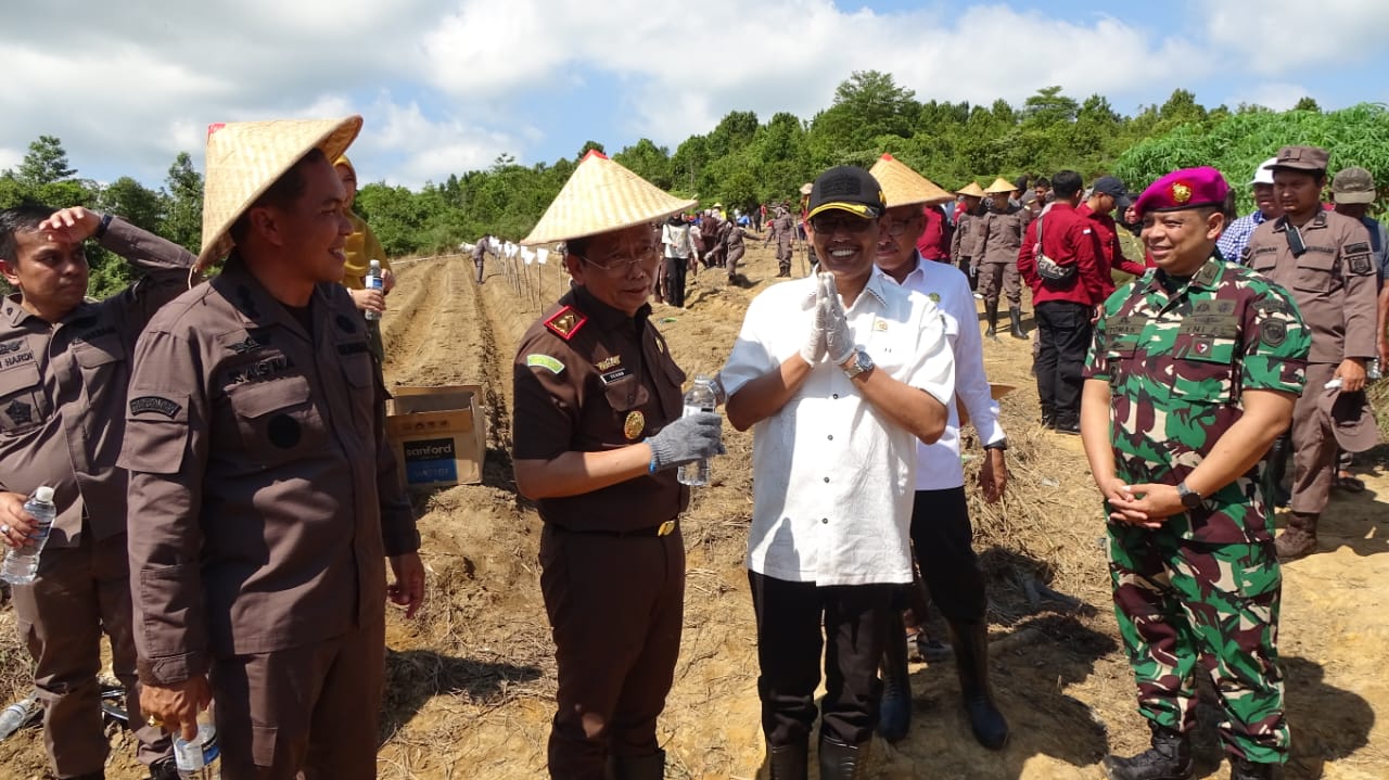 Rempang Jadi Lahan Aksi: Kejati Kepri Tanam Jagung Dukung Ketahanan Pangan