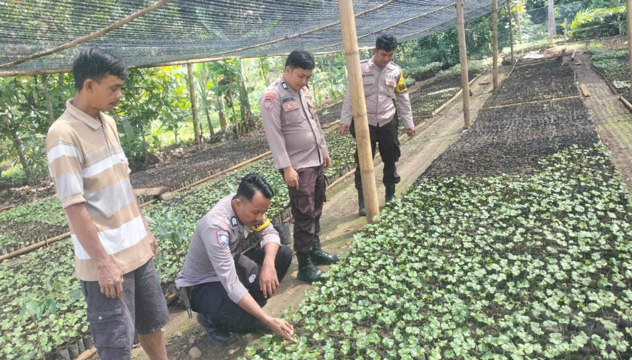 Dukung Ekonomi Kerakyatan, Polsek Wonosobo Sambangi Kebun Bibit Warga di Simpang Bayur
