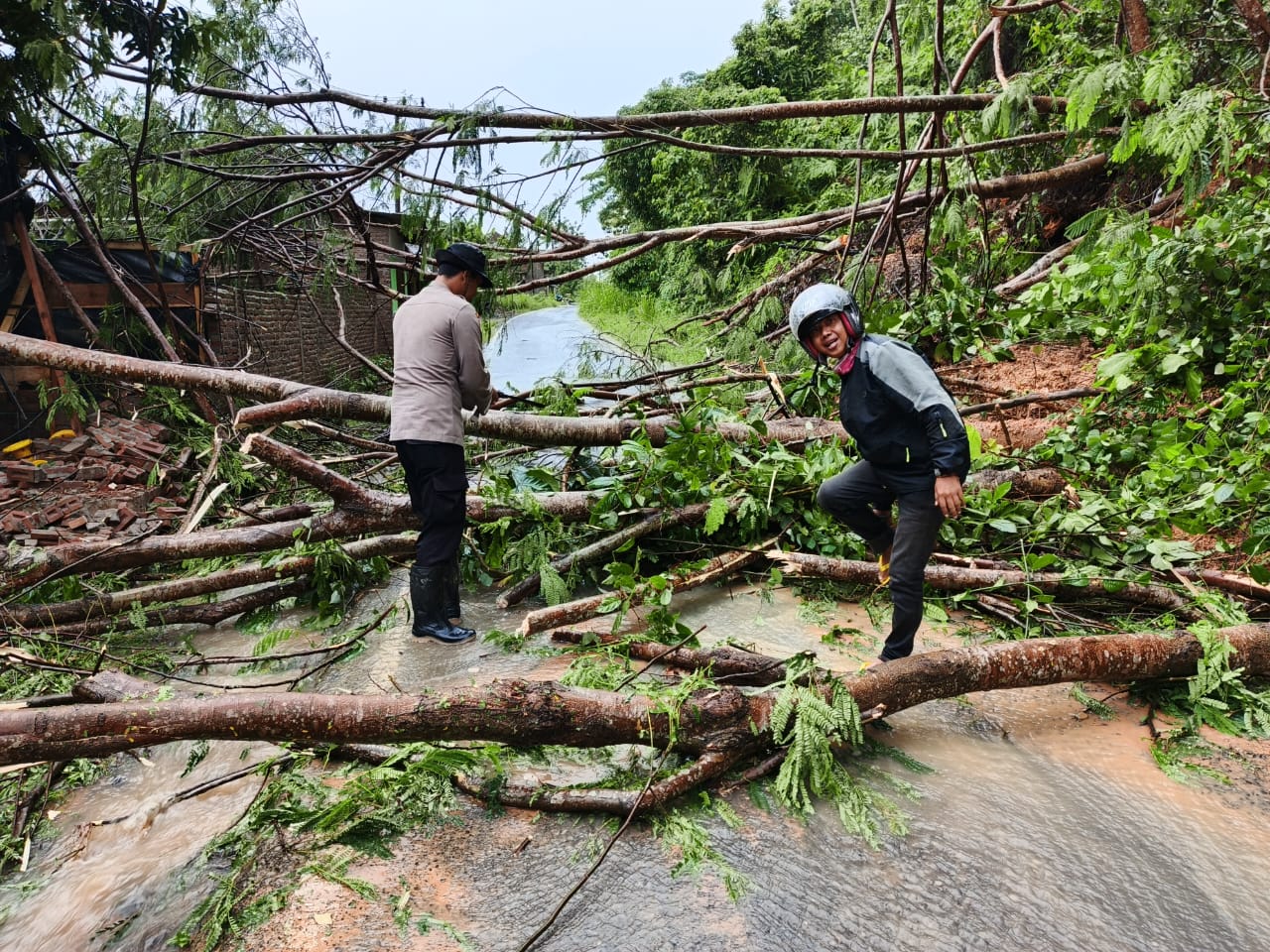 Paska Longsor Polsek Limau dan Warga Bersihkan Material Kayu di Tegineneng