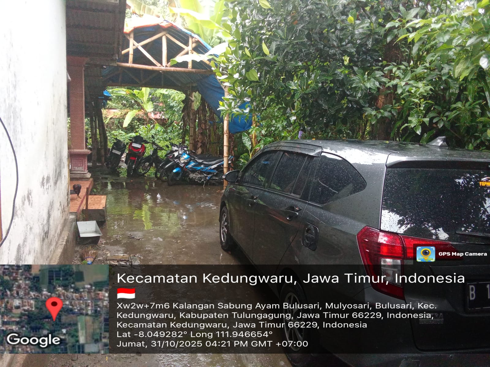 Lapor Bapak Kapolda Jatim ! Aktivitas Sabung Ayam yang Diduga Diwarnai Perjudian di Bulusari Tulungagung Sangat Vulgar dan Marak