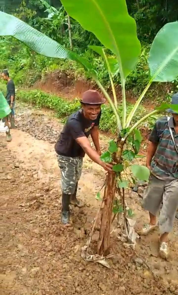 Virall Aksi Protes Warga: Pohon Pinang Ditanam di Tengah Jalan Rusak