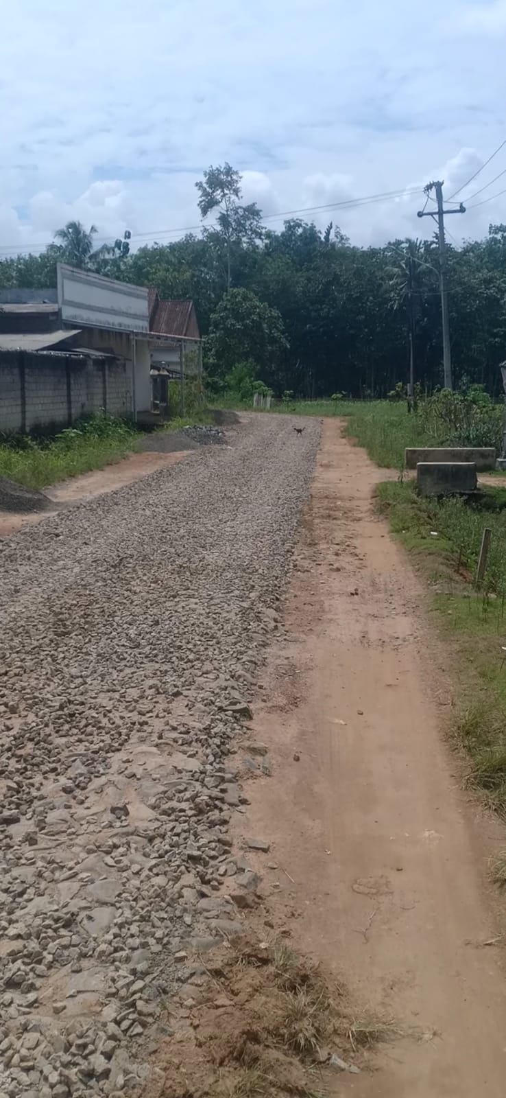 Gawat diduga pembangunan Hotmix di jalan desa Tritunggal tidak sesuai Rab dan sertifikasi , masyarakat berharap pihak terkait, turun tangan