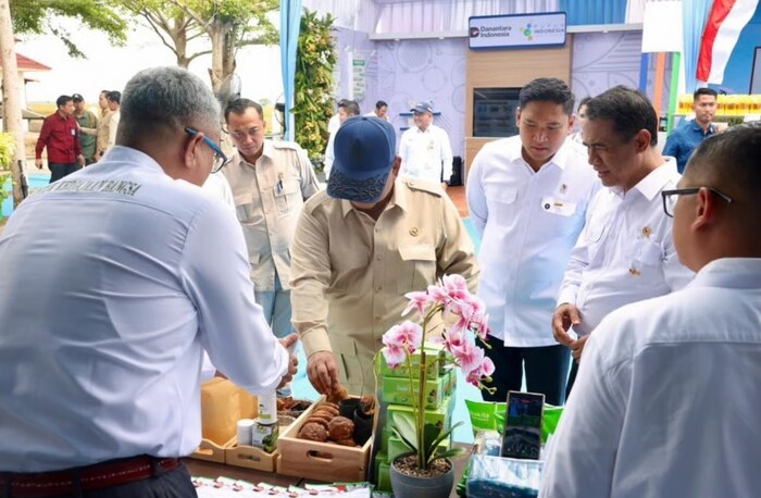Presiden Dorong Hilirisasi Gambir, PTPN Group Siap Perkuat Nilai Tambah Komoditas Rakyat
