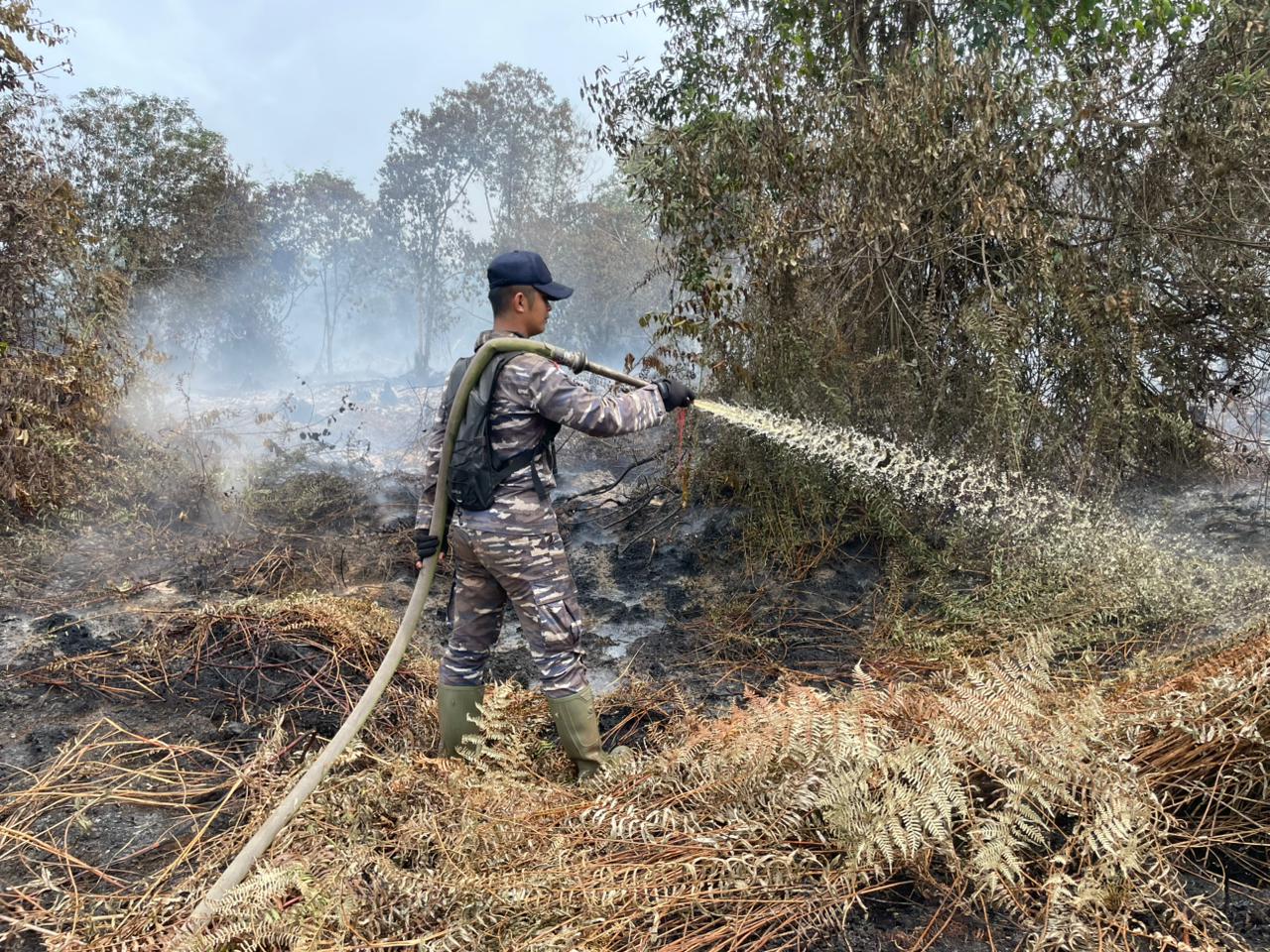 Penuh Keberanian dan Dedikasi Menembus Panas Kobaran Api, Prjaurit TNI AL Berhasil Selamatkan Hutan dan Lahan di Riau