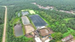 Hadapi Gejolak Energi Global, Holding Perkebunan Nusantara Andalkan PLTBg PalmCo