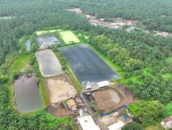 Hadapi Gejolak Energi Global, Holding Perkebunan Nusantara Andalkan PLTBg PalmCo