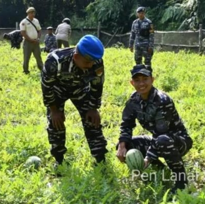 Lanal Sibolga Laksanakan Panen Raya Semangka di Labuhan Angin Kabupaten Tapanuli Tengah
