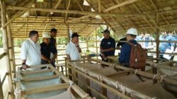 Perkuat Strategi Peningkatan Produksi dan Pengamanan Aset, Operational Strategic Advisory PTPN III (Persero) Kunjungi PTPN IV Regional VII