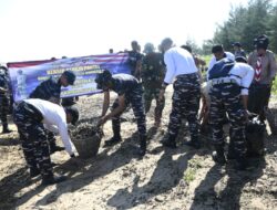 TNI AL Gelar Aksi Bersih Pantai dan Tanam Mangrove di Tanah Laut Melalui Operasi Trisila 26, Wujudkan Indonesia ASRI