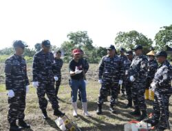 TNI AL Gelar Penanaman Bibit Kedelai di Kompi Produksi Lanal Banjarmasin Melalui Operasi Trisila 26, Perkuat Ketahanan Pangan