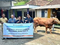 Grup MIND ID Salurkan 1.735 Hewan Kurban Dari Sumatra hingga Papua