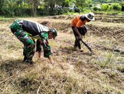 Babinsa Koramil 04/Bintang Bantu Warga Siapkan Lahan Tanam Cabai di Desa Dedamar