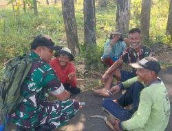Babinsa Komsos dengan Petani, Pastikan Musim Tanam Ketiga Tetap Aman di Tengah Kemarau