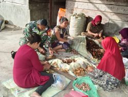 Babinsa Koramil 09/Ketol Dampingi Warga Tingkatkan Nilai Ekonomi Hasil Pertanian