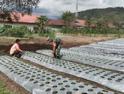 Babinsa Koramil 06/Jagong Bersama Warga Desa Bukit Kemuning Perkuat Ketahanan Pangan