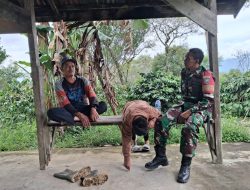Babinsa Sambangi Warga, Pantau Perkembangan Tanaman Kopi di Desa Wonosari