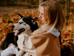 Sering Dianggap Mirip Serigala, Ini Fakta Menarik tentang Anjing Husky
