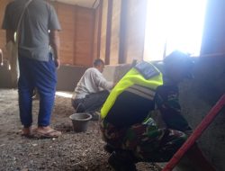 Babinsa Koramil 04/Bintang Bantu Warga Melester Dinding Rumah di Desa Genuren