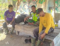 Dukung Pertanian, Babinsa Sambagai Petani dan Berikan Motivasi Di Wilayah Perkebunan