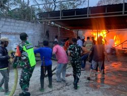 Kebakaran Melanda Desa Pemango, Babinsa Berjibaku Bantu Padamkan Api Bersama Damkar dan Warga
