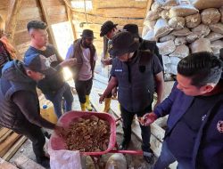 Polres Aceh Tengah Tertibkan Dugaan Aktivitas PETI di Pegasing, Ratusan Karung Material dan Peralatan Tambang Diamankan