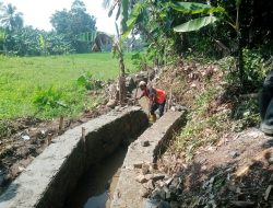 Proyek Pembangunan P3-TGAI Hikmah Tani: di Kampung Asem Desa Sukaharja:Menghasilkan Kualitas Yang Baik