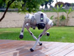 Robot Unitree Go2 untuk Edutainment dan Interaksi Publik