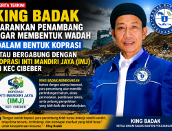 King badak sarankan penambang agar membentuk wadah dalam bentuk koprasi atau bergabung dengan koprasi Inti Mandiri Jaya (IMJ) di Kec Cibeber